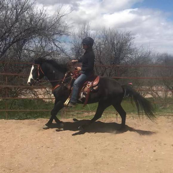 Meet your Posher, Birgit - Picture 1 of 1